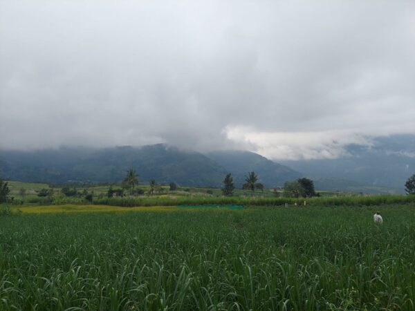 Beautiful landscapes of Kanthalloor, Kerala