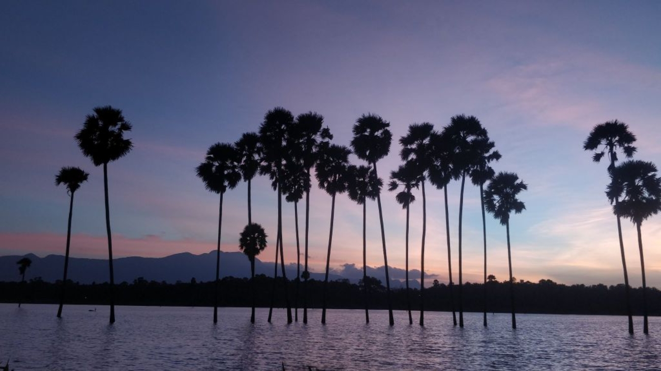 Beautiful sunset from a reservoir in Palakkad, Kerala.Moksha Stories