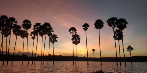 Beautiful sunset from a reservoir in Palakkad, Kerala by Moksha Stories.
