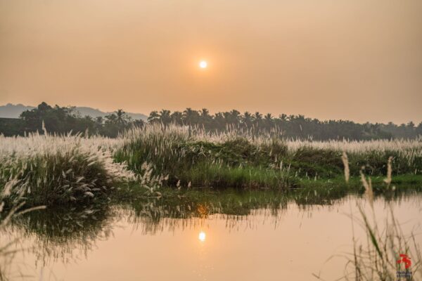 Sunset from the banks of River Nila in Palakkad.