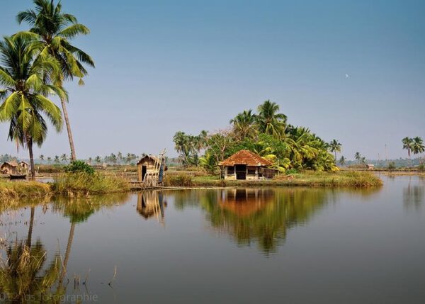 A view from kadamakkudy village in Cochin, Kerala.
