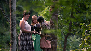 Toddy Tapping Experience in a village nearby Cochin
