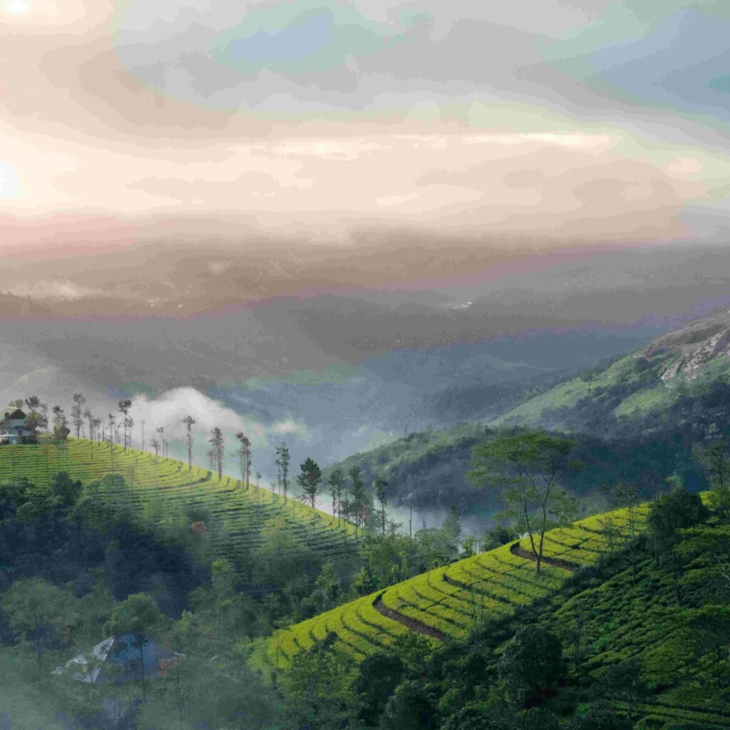 Hill station in Kerala 