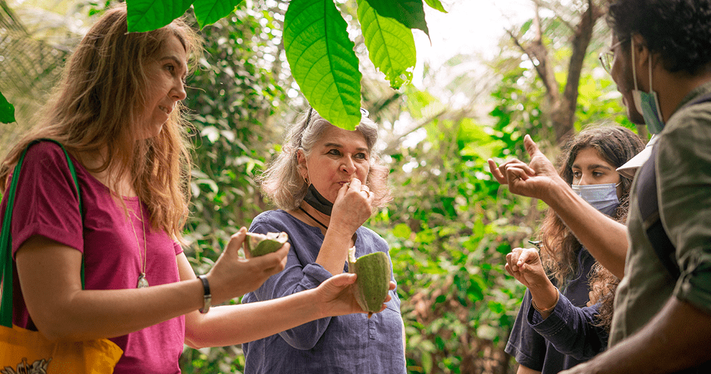 Farm tour experience provided by Moksha Stories.