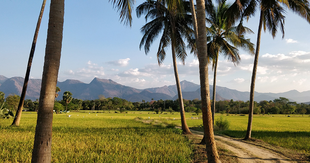 A beautiful landscape of Kerala