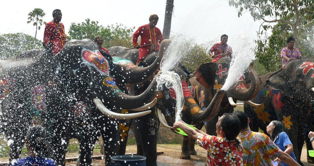 Songkran celebration