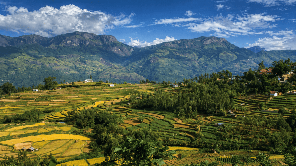 Landscape of kanthalloor