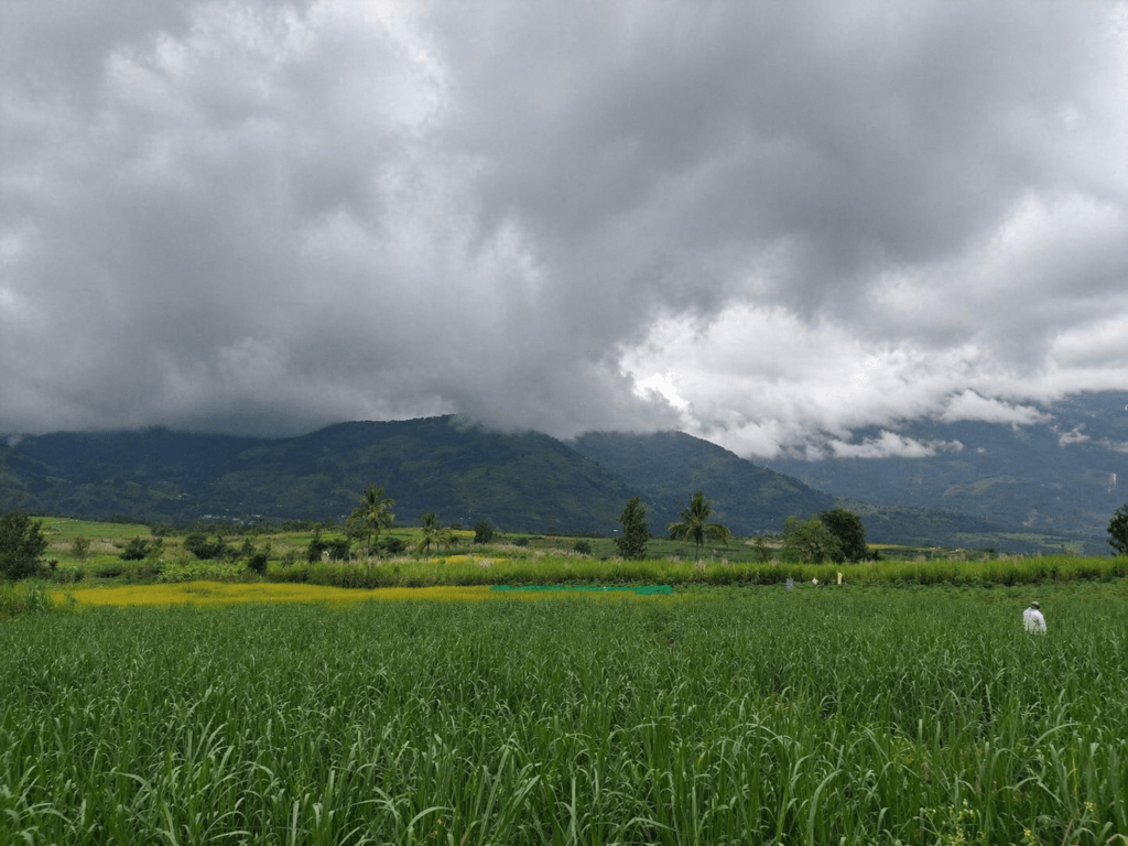 Landscape of Marayoor